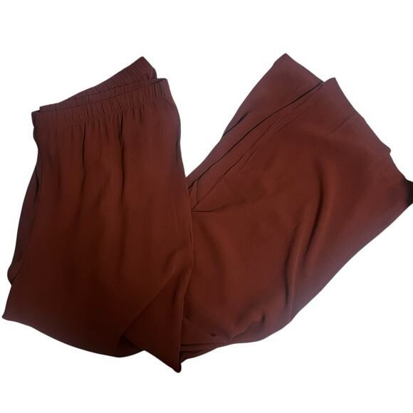 Eileen Fisher Silk Georgette Crepe Straight Pant | Sz L, Redwood NWT $248 - Picture 3 of 9